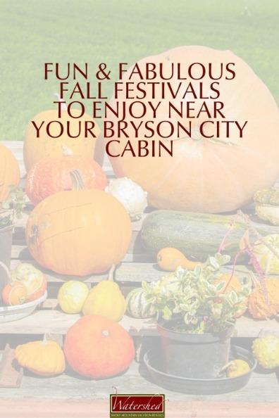 Fun and Fabulous Fall Festivals to Enjoy Near Your Bryson City Cabin