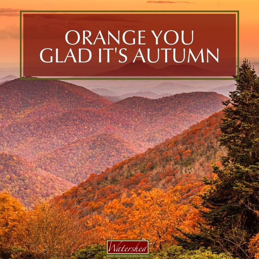 5 Fall Quotes to Inspire Your Next Smoky Mountain Vacation