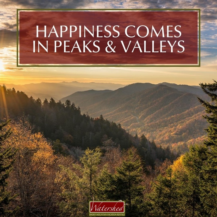 Happiness comes in peaks and valleys.