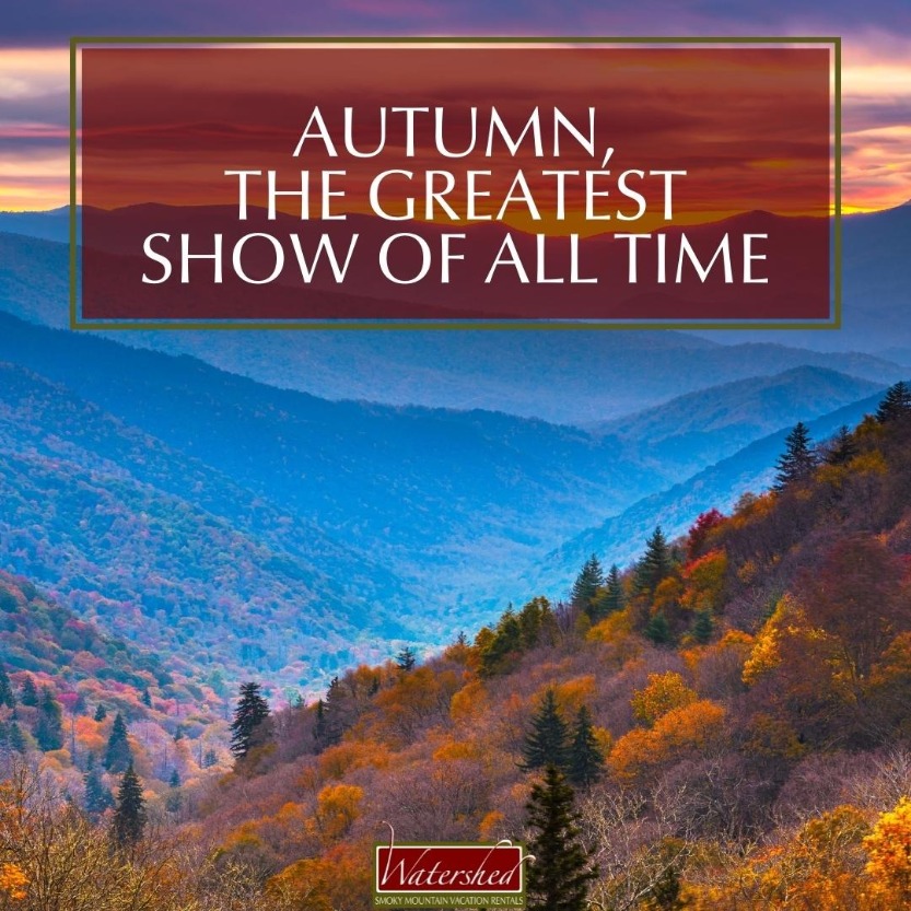 Autumn, the greatest show of all time.