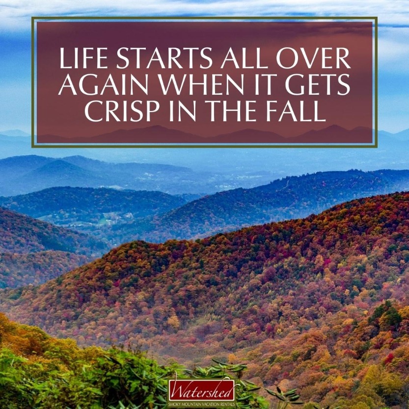 Life starts all over again when it gets crisp in the fall.