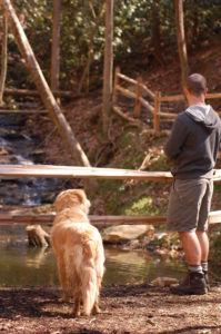 cabin rentals in bryson city nc