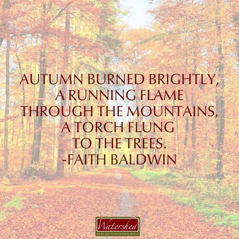 Autumn burned brightly, a running flame through the mountains, a torch flung to the trees. -Faith Baldwin | Watershed Cabins Bryson City NC
