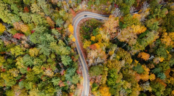 Tail of the Dragon Smoky Mountains in the Fall | Watershed Cabins Bryson City Rentals