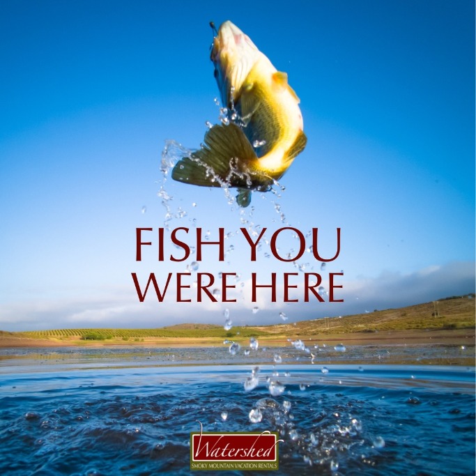 Fish you were here | Watershed Cabins Bryson City Cabin Rentals in the Smoky Mountains