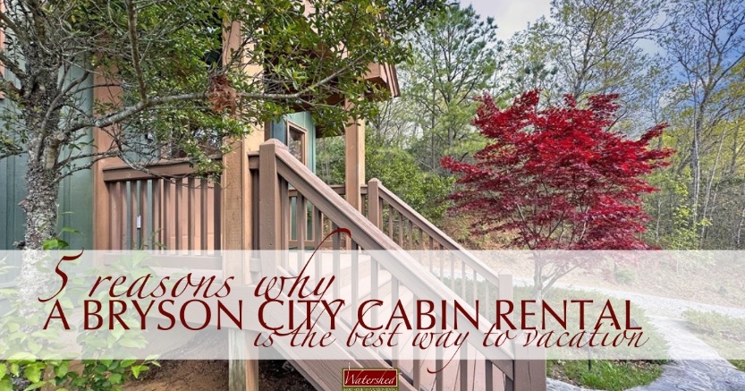 5 Reasons Why a Bryson City Cabin Rental is the Best Way to Vacation Header | Watershed Bryson City Cabin Rentals