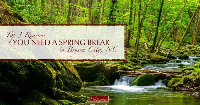 Top 3 Reasons You Need a Spring Break in Bryson City NC Title | Watershed Cabins NC Smoky Mountains | 