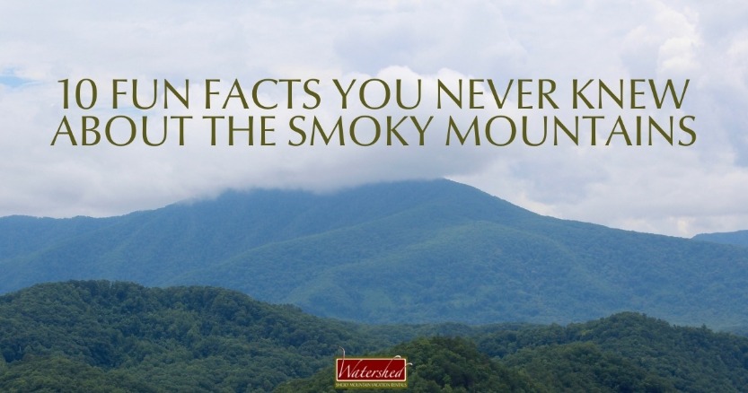 10 Fun Facts You Never Knew About the Smoky Mountains