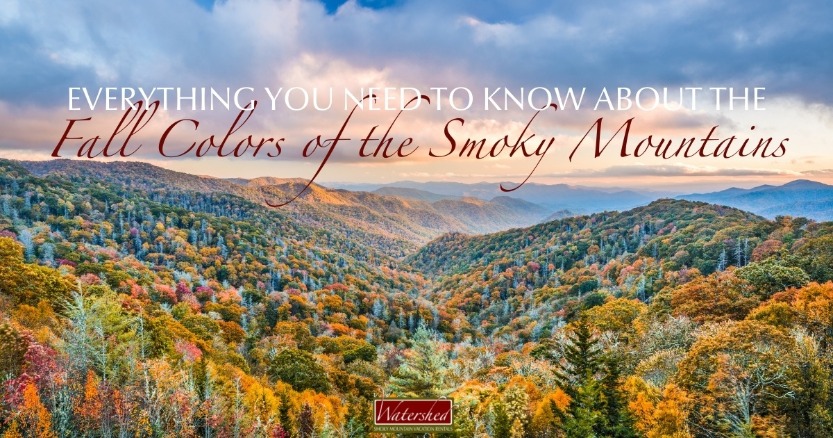 Everything You Need to Know About the Fall Colors of the Smoky Mountains