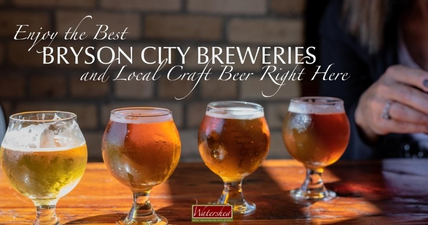 Enjoy the Best Bryson City Breweries and Local Craft Beer Right Here