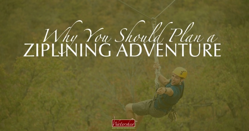 Why You Should Plan a Ziplining Adventure
