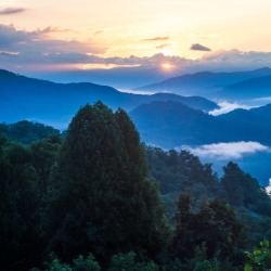 Ken Burns Quote about the Great Smoky Mountains National Park | Watershed Cabins Bryson City Rentals