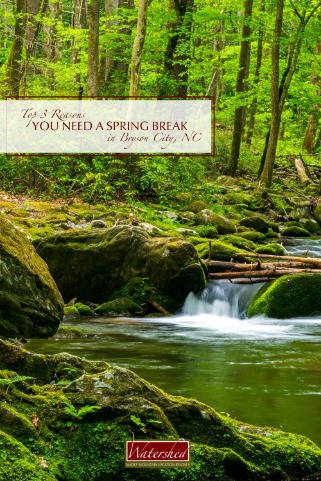 Top 3 Reasons You Need a Spring Break in Bryson City NC Pinterest Image | Watershed Cabins NC Smoky Mountain