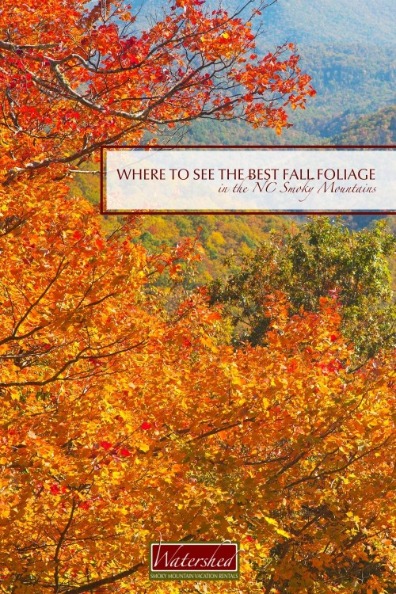 Where to See the Best Fall Foliage in the NC Smoky Mountains