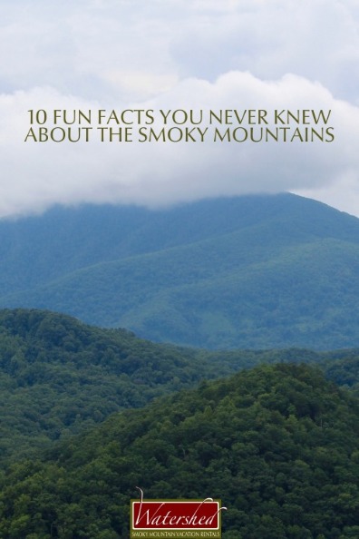 10 Fun Facts You Never Knew About the Smoky Mountains