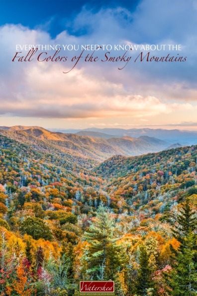 Everything You Need to Know About the Fall Colors of the Smoky Mountains