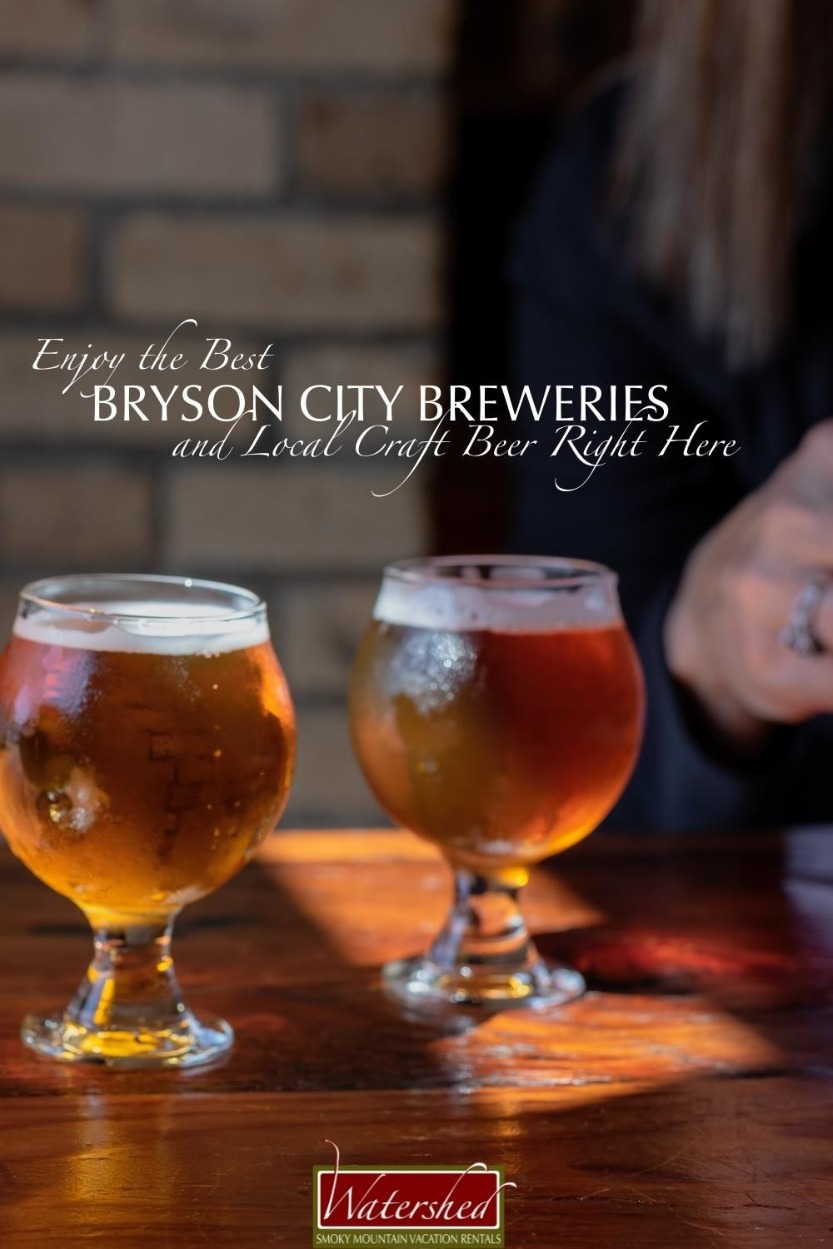 Enjoy the Best Bryson City Breweries and Local Craft Beer Right Here