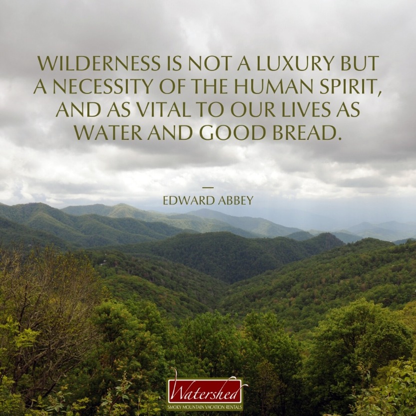 “Wilderness is not a luxury but a necessity of the human spirit, and as vital to our lives as water and good bread.” – Edward Abbey