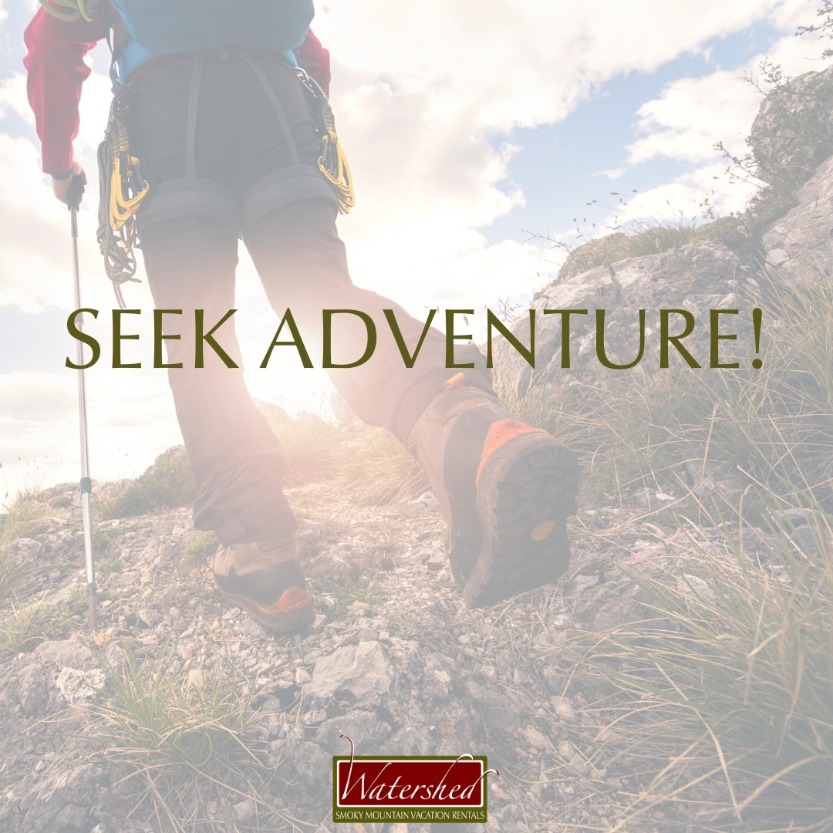 Seek Adventure!