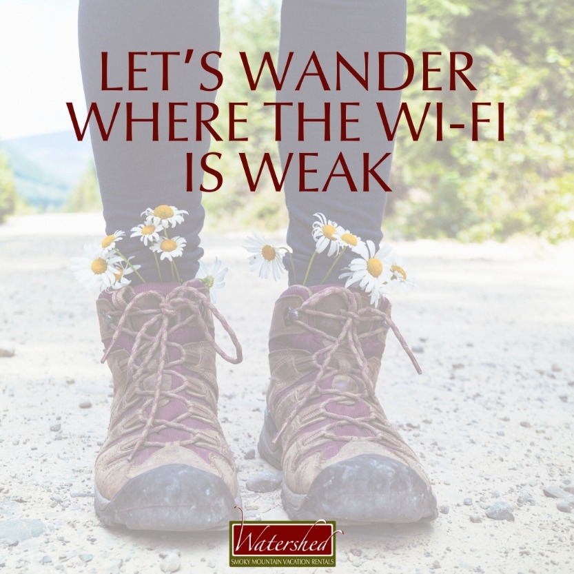 Let’s wander where the WI-FI is weak.