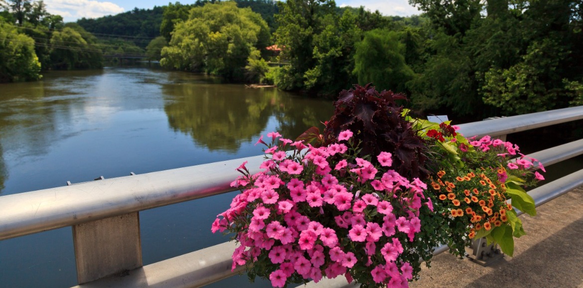 Tuckasegee River, Bryson City NC | Watershed Cabin Rentals