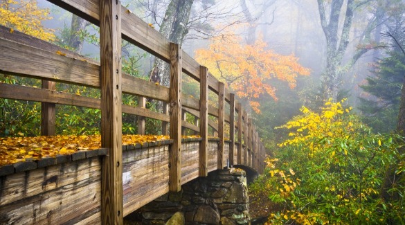 Walking and hiking trail bridge in the NC Smoky Mountains during autumn | Watershed Cabins Bryson City Rentals