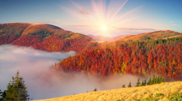 Fog & Fall Foliage in the Great Smoky Mountains | Watershed Bryson City Cabins